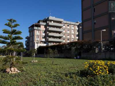 I terreni, divisi dalla traversa di via Palasciano, hanno una forma grosso modo rettangolare, sono lunghi una cinquantina di metri e larghi una decina